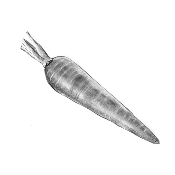 Carrot