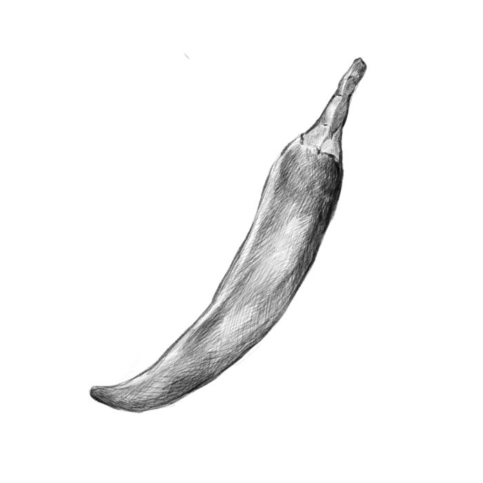 Chili