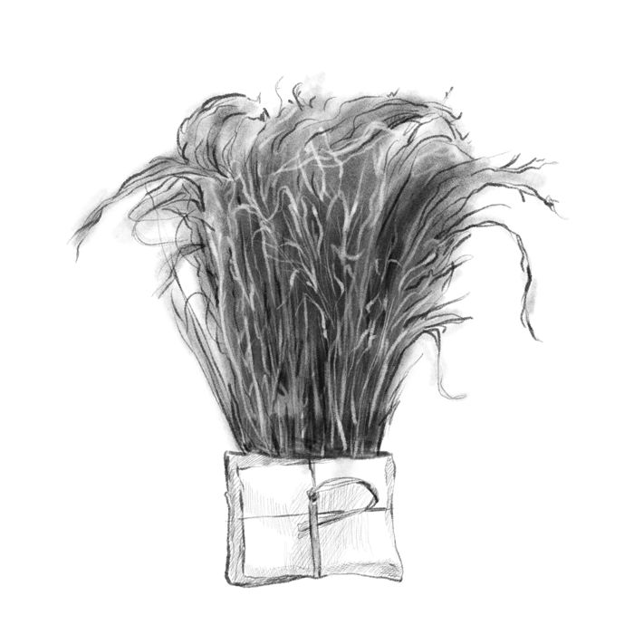 Herbs bunch